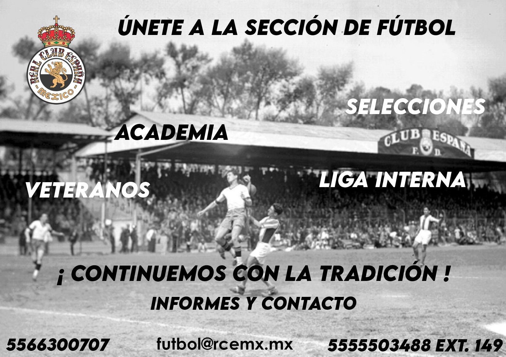 imagen_de_seleccion_de_futbol